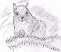 Sassy Squirrel